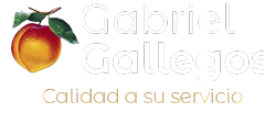 Gabriel Gallegos